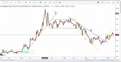 COMMENT DÉTERMINER ET TRACER DES DROITES DE TENDANCES?